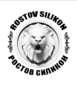 Лого Ростов Силикон